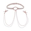 Peaches N Creame Collar With Nipple Clamps - Pink