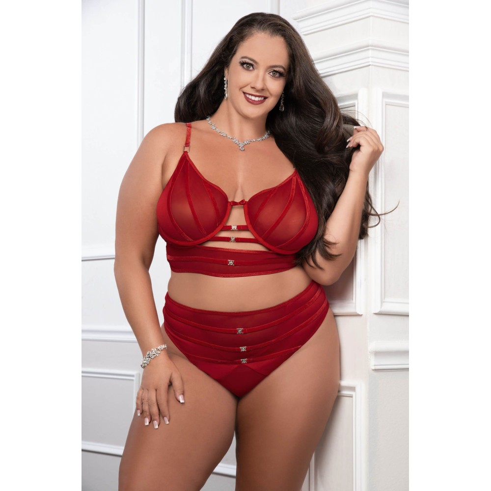 Cinnamon Red 2pc Satin Bra and High Waist Panty - Queen Size