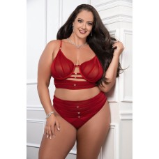 Cinnamon Red 2pc Satin Bra and High Waist Panty - Queen Size Cinnamon Red 2pc Satin Bra and High Waist Panty - Queen Size