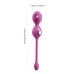 Elektra App-Enabled E-Stim Kegel Trainer Kit -Pink Elektra App-Enabled E-Stim Kegel Trainer Kit -Pink
