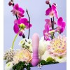 Anniversary Ultra Bullet - Orchid