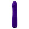 Ambition - Purple