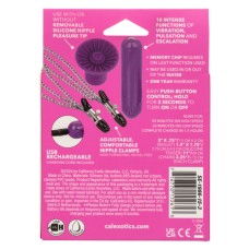 Pleasure Kits Passion Collection - Purple