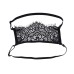 Veiled Vision Lace Blindfold