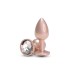 Rear Assets - Iridescent Champagne - Small - Clear Rear Assets - Iridescent Champagne - Small - Clear