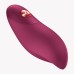 Charme Bullet Vibrator - Wine Red