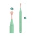 Blush - Sage - Green