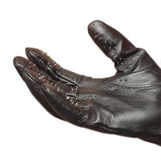 Vampire Gloves Medium Vampire Gloves Medium