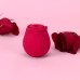 Alchemy Rosebud Luxury Air-Pulse Massager - Red