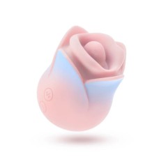 Blush Collection - Kissing Rose - Pink Blush Collection - Kissing Rose - Pink